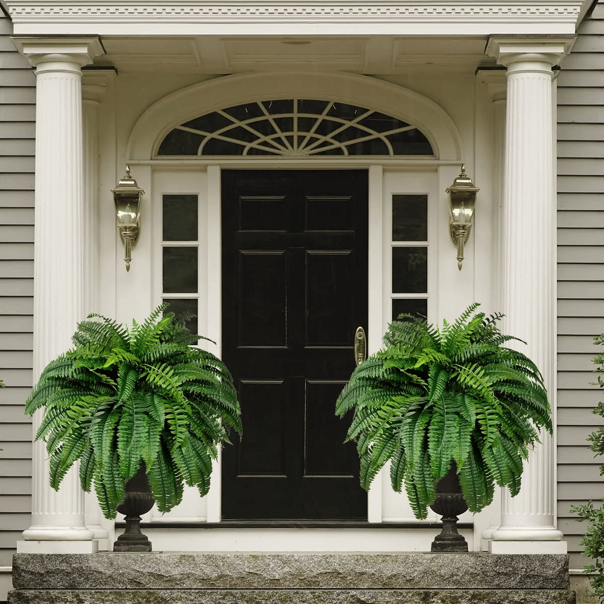 Forever Fresh Fern ¨C Lush Greenery That Lasts Forever - 60% OFF