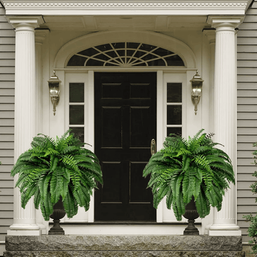 Forever Fresh Fern ¨C Lush Greenery That Lasts Forever - 60% OFF