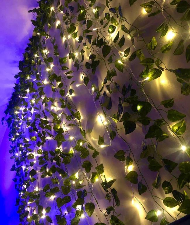 The Enchanted Vine Lights - Your Dream Room, Instantly + 50% OFF