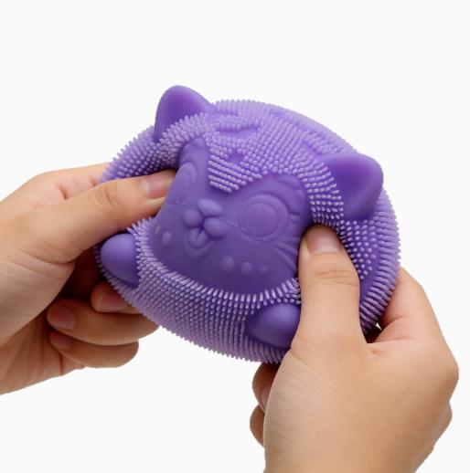 Cute Cat Squishy NeeDoh Ball