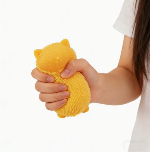 Cute Cat Squishy NeeDoh Ball