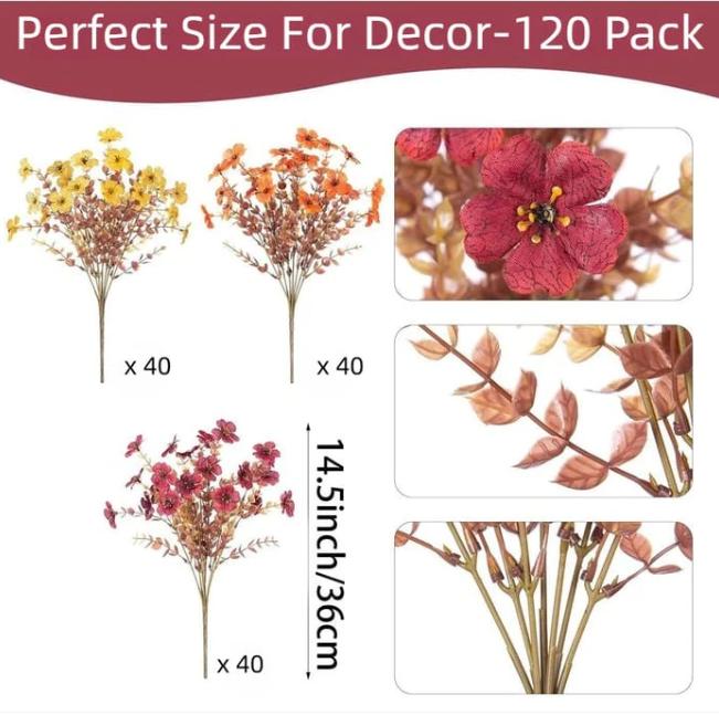 EverBrite Sunset Mums - A Perfect Fall Porch, Guaranteed - BUY 2 GET 2 FREE