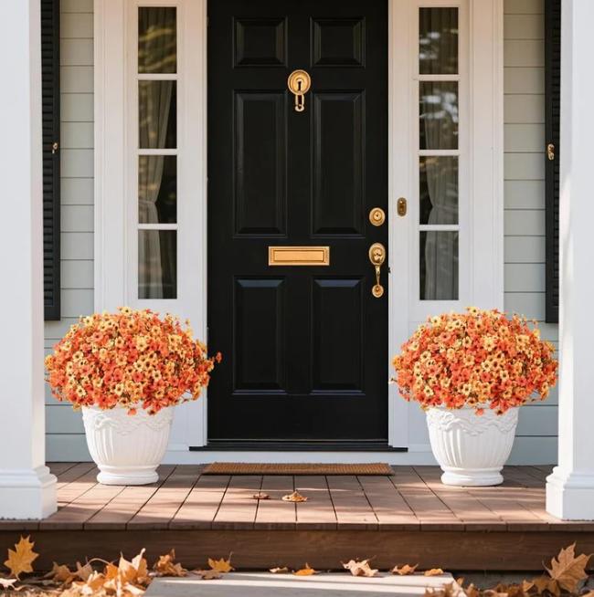 EverBrite Sunset Mums - A Perfect Fall Porch, Guaranteed - BUY 2 GET 2 FREE