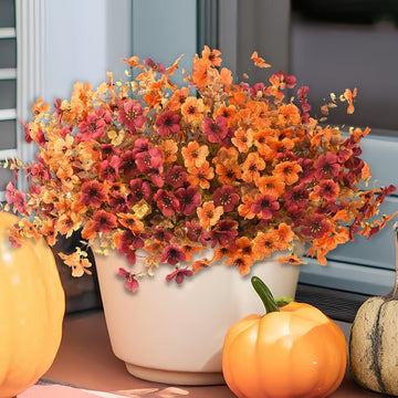EverBrite Sunset Mums - A Perfect Fall Porch, Guaranteed - BUY 2 GET 2 FREE