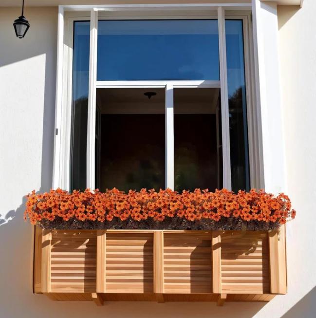 EverBrite Sunset Mums - A Perfect Fall Porch, Guaranteed - BUY 2 GET 2 FREE