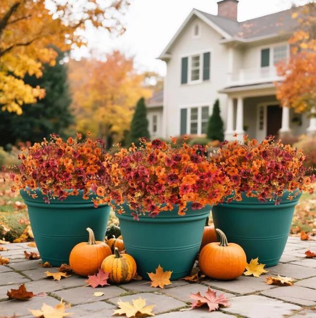 EverBrite Sunset Mums - A Perfect Fall Porch, Guaranteed - BUY 2 GET 2 FREE