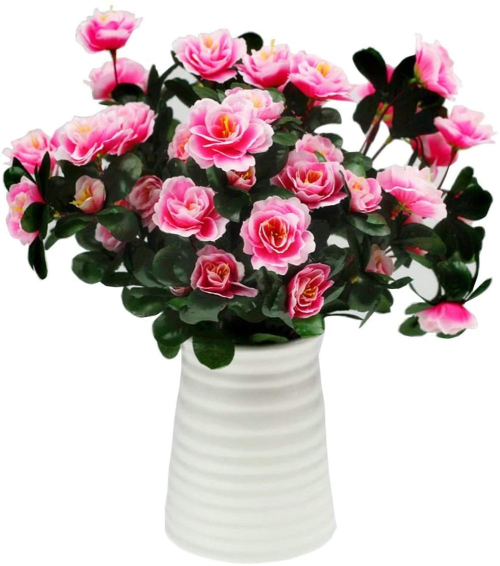 EverBloom Azaleas - A Perfect Garden, Zero Work + 1+1 FREE