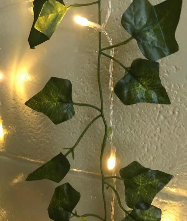 The Enchanted Vine Lights - Your Dream Room, Instantly + 50% OFF