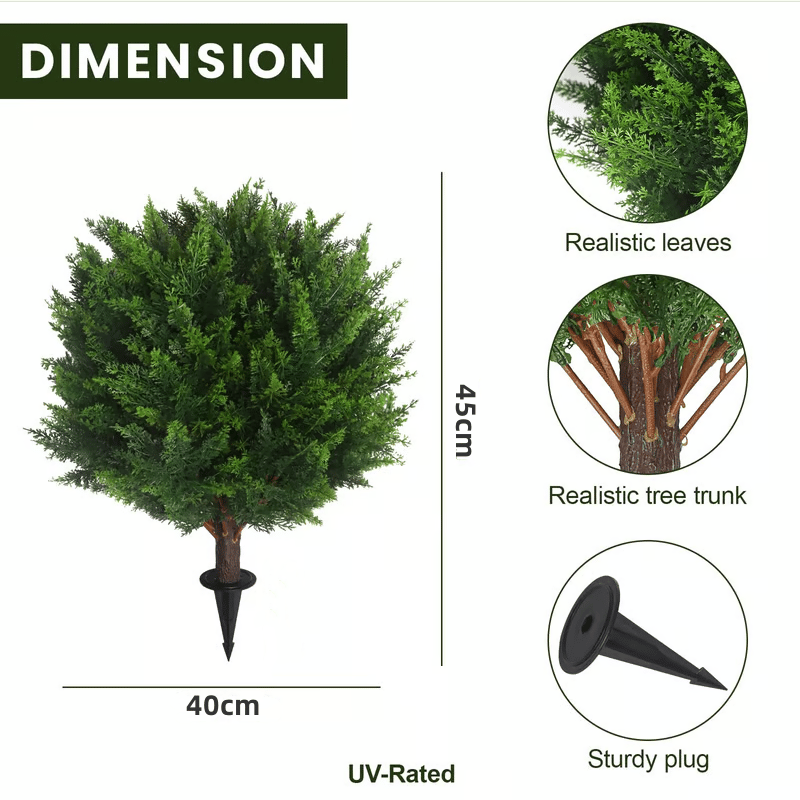 EverGreen Cedar Tree - Instant Curb Appeal + 50% OFF