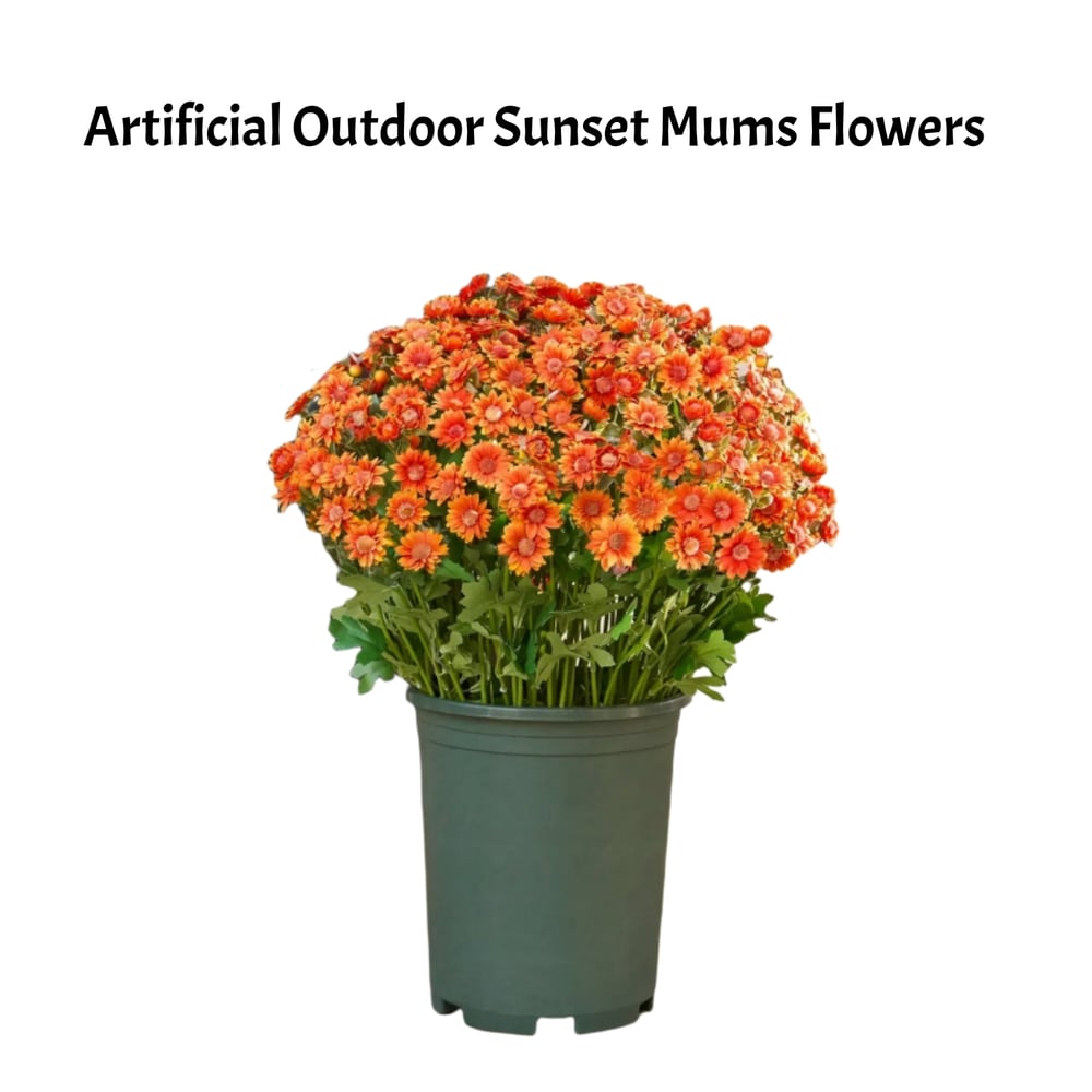 The EverFall Mum - A Perfect Fall Porch, Effortlessly - 50% OFF