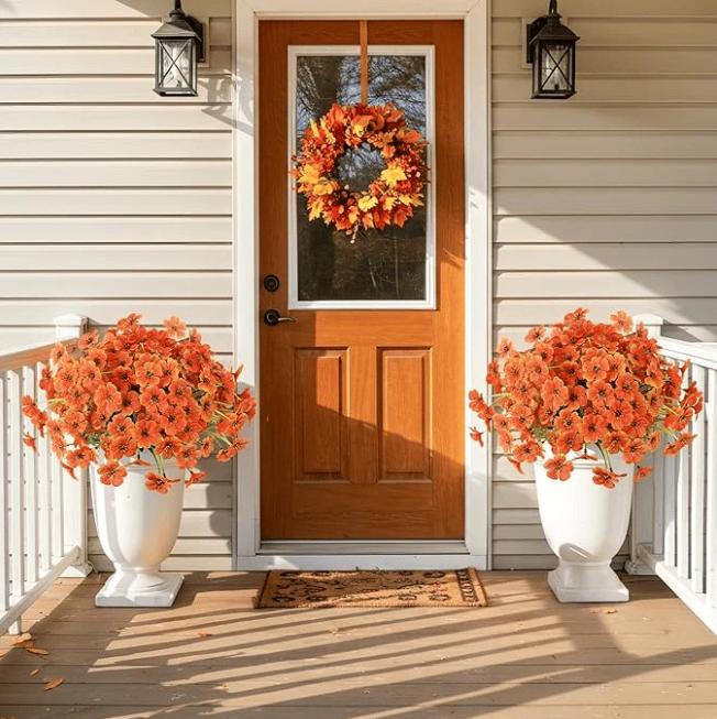 EverBrite Sunset Mums - A Perfect Fall Porch, Guaranteed - BUY 2 GET 2 FREE