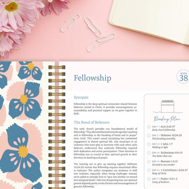 BiblePath 365 - Conquer the Word with Absolute Clarity + 50% OFF