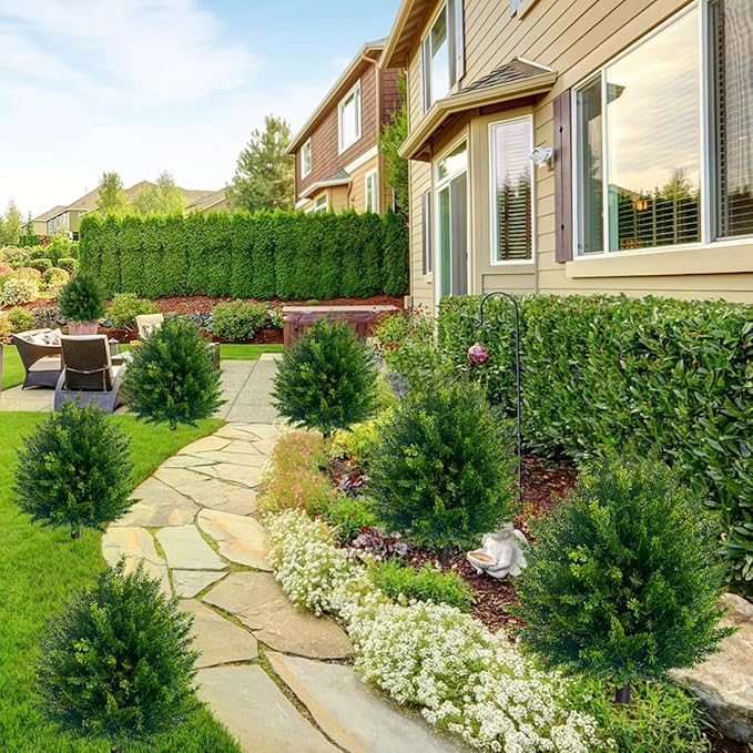 EverGreen Cedar Tree - Instant Curb Appeal + 50% OFF