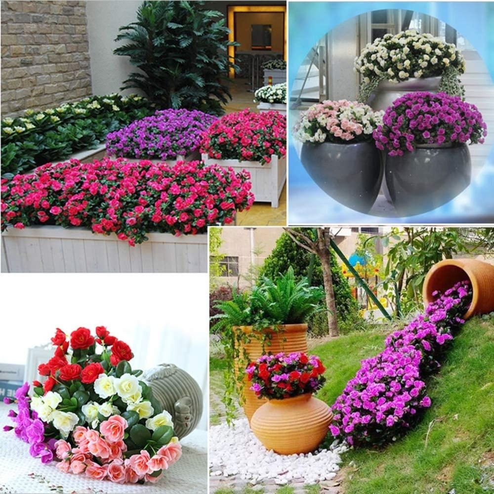 EverBloom Azaleas - A Perfect Garden, Zero Work + 1+1 FREE