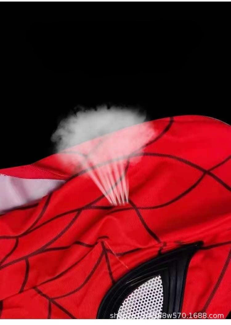 Halloween Spider Mask Full Face