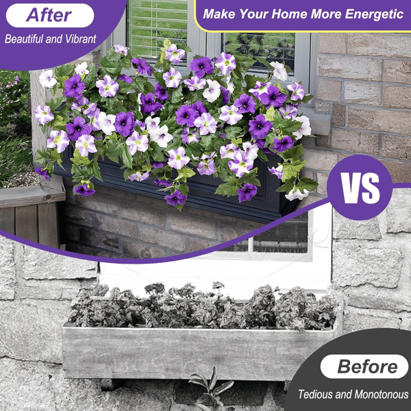 EverBloom Petunias - A Perfect Garden, Effortlessly - 50% OFF