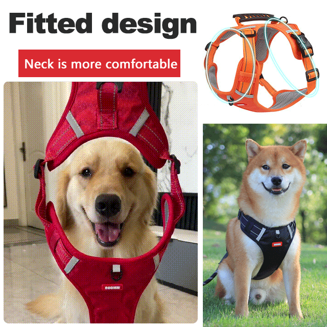 The GentleStride Dog Harness -  Less Pulling, Ultimate Comfort, and Safety + 50% OFF