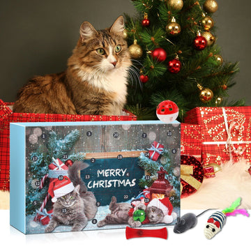 Purrfect Countdown Delight! Share 24 Days of Cat Joy + 50% OFF