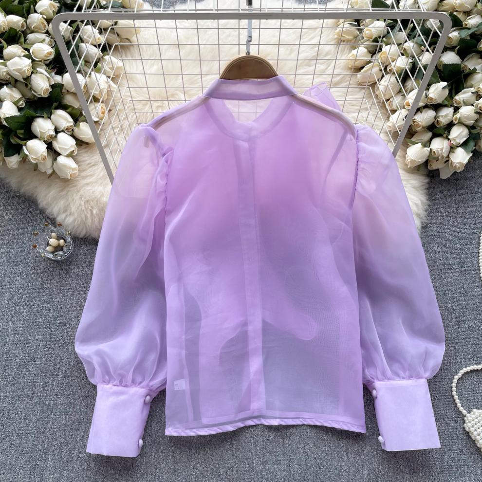 Fairy Style Ruffled Mesh Long Sleeve Shirt