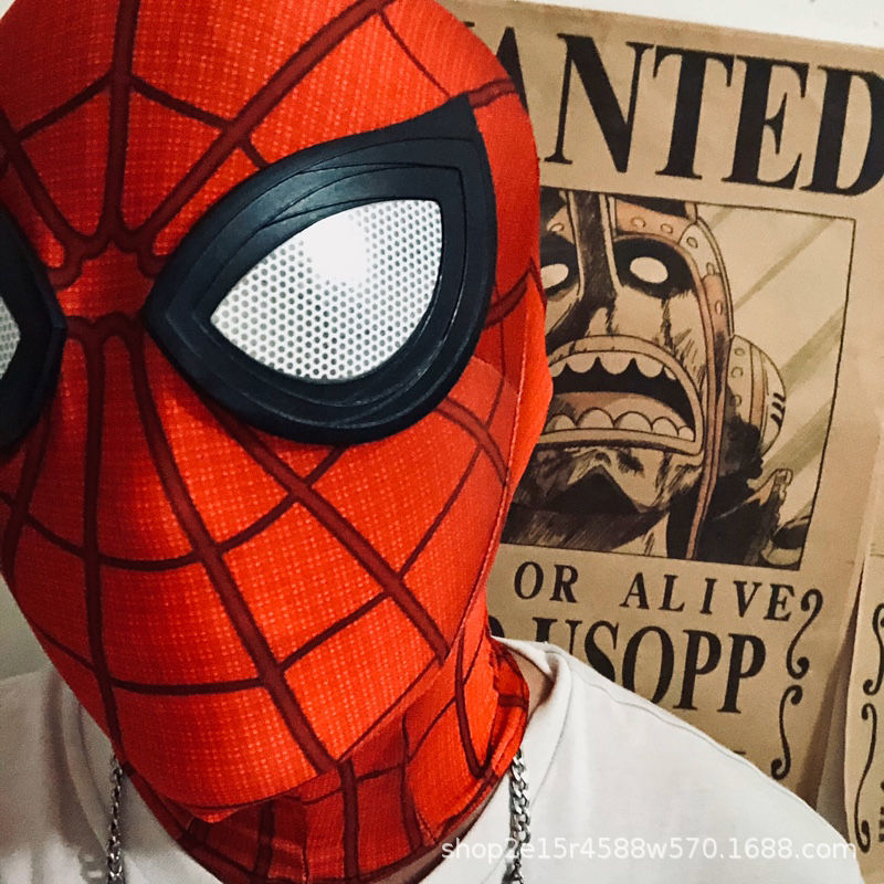 Halloween Spider Mask Full Face