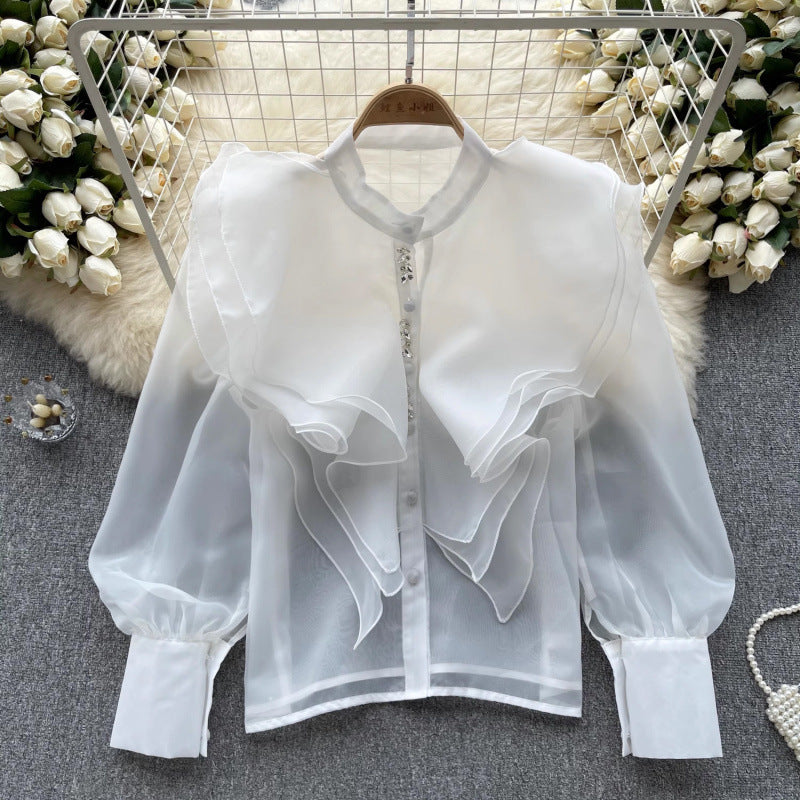 Fairy Style Ruffled Mesh Long Sleeve Shirt