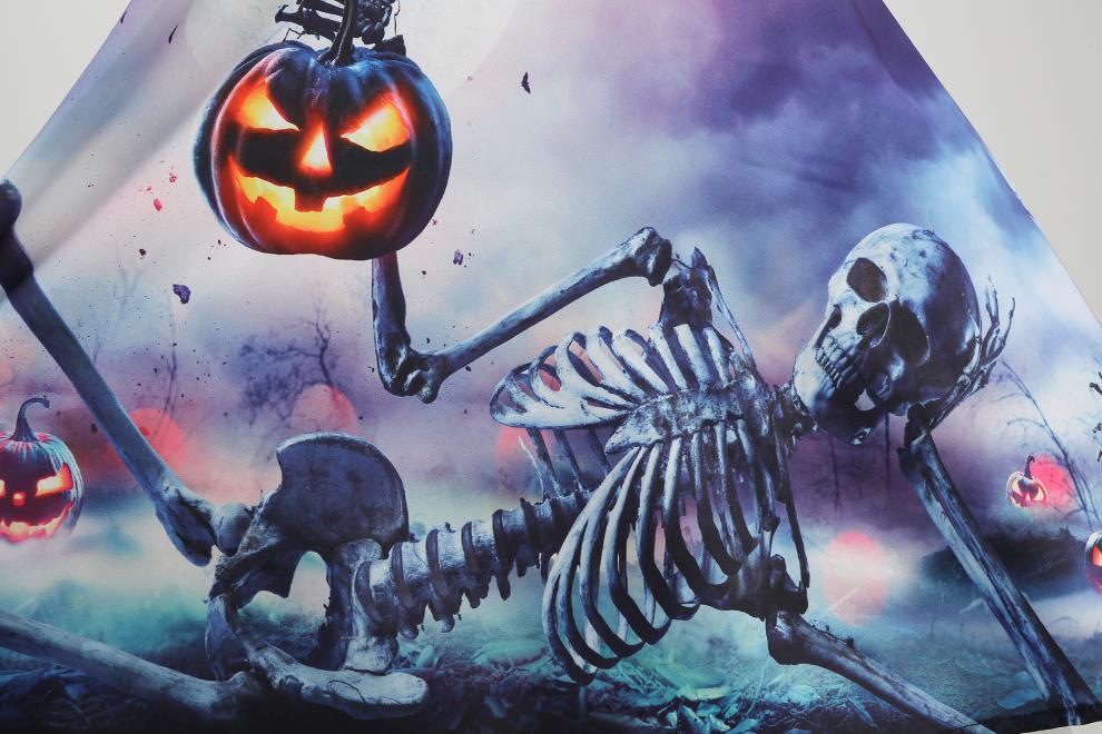 Halloween Print Fit & Flare Dress