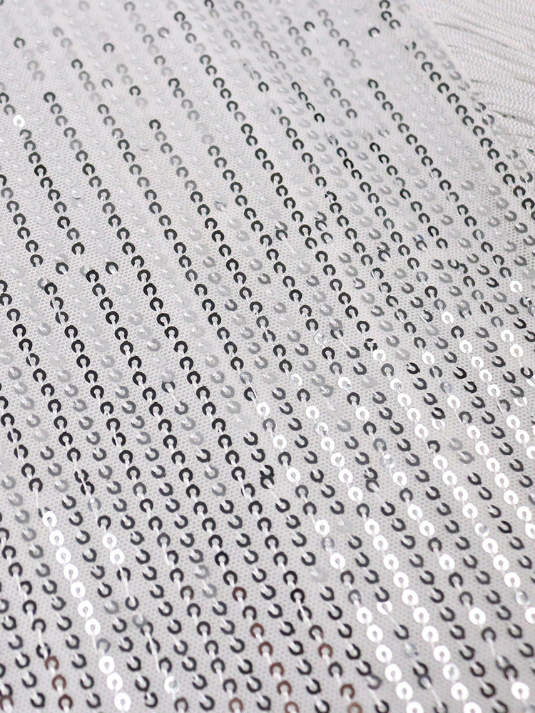 Sexy Elastic Sequin Tassels Plus Sizes Party Dresses-Dresses-Free Shipping at meselling99