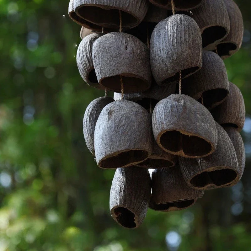 Natural Fruit Shell Hand Bell Sound Healing Instruments For Yoga Meditation Sound Healing Sound Closest to Flowing Water