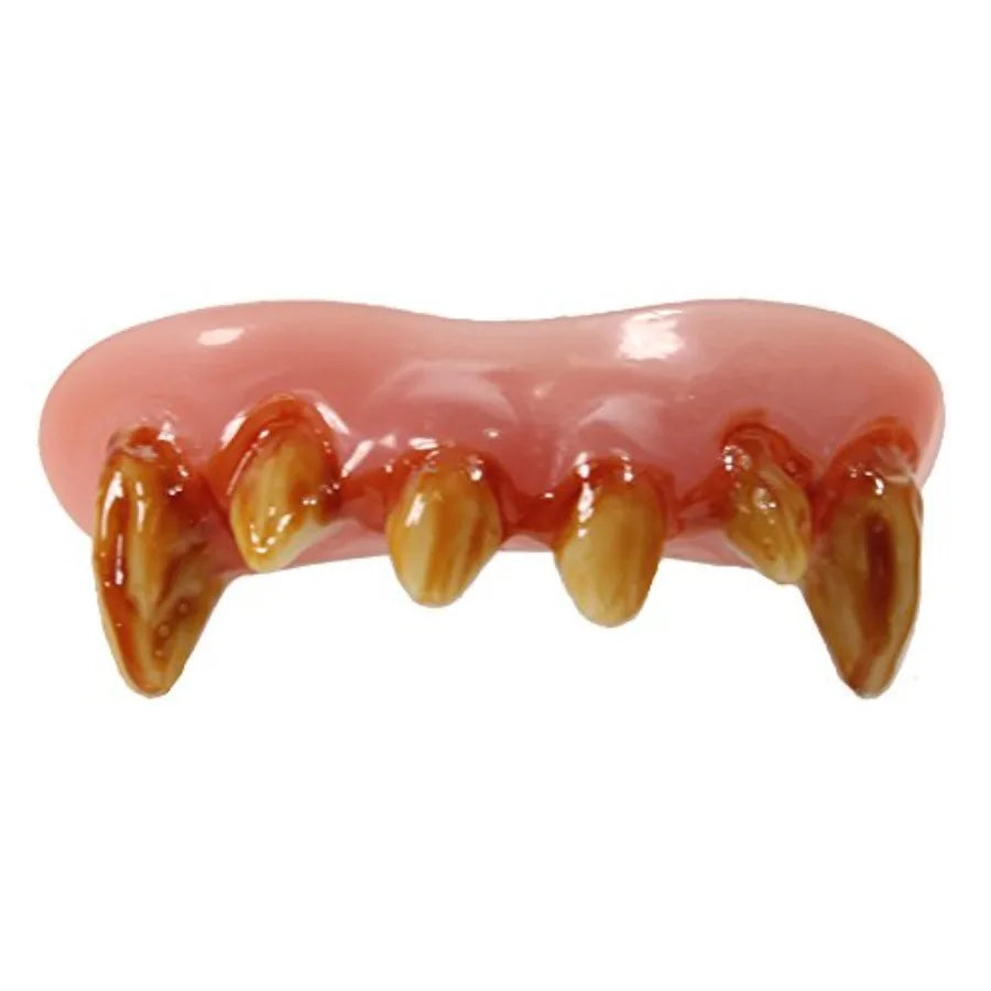 Top Set of Creepy Werewolf Teeth with Fangs