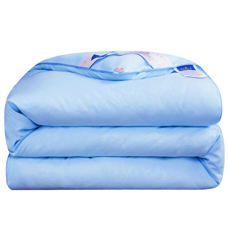Nordic Natural Mulberry Luxury Silk Comforter Duvet Twin Queen King Full Size Cotton Blanket Quilt Couple Bedding In Filler