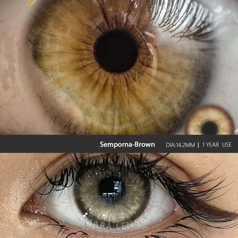 1 Pair Green Contact Lenses for Eyes Beauty Pupils Lenses Eye 14.2mm Yearly Use Fashion Blue Colored Contacts Lenses Green