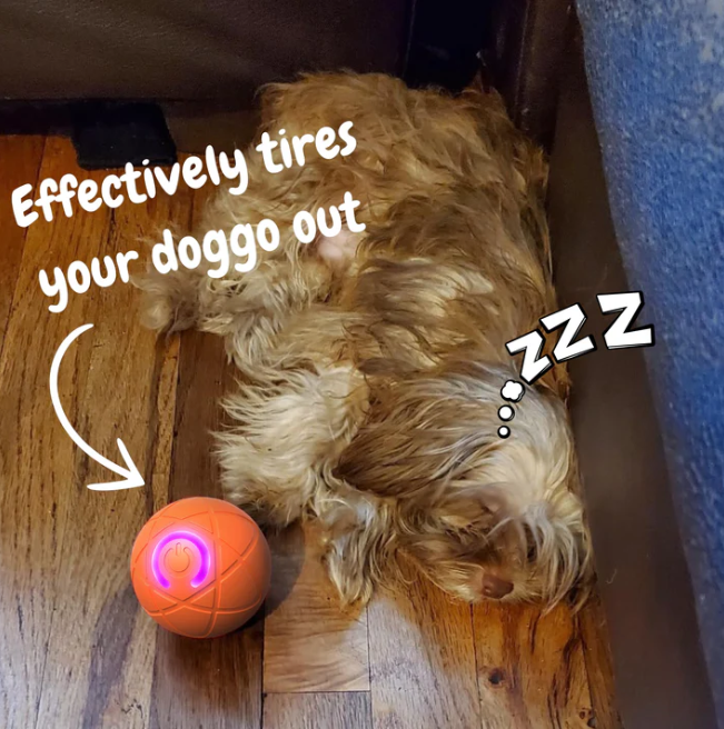 The PowerBounce Pet Ball - Endless Playtime, Rechargeable Fun + 50% OFF