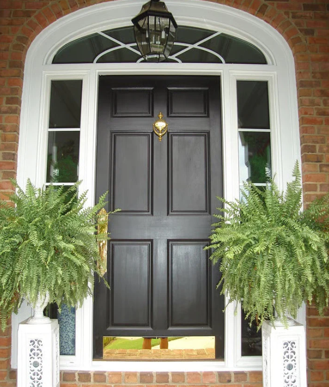 Forever Fern - Bring nature home without the maintenance. 50% OFF