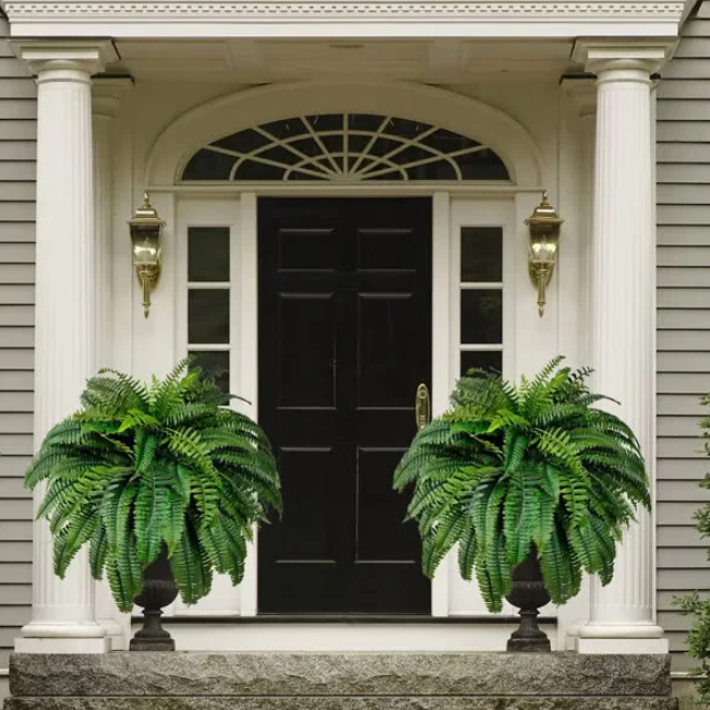 Forever Fern - Bring nature home without the maintenance. 50% OFF