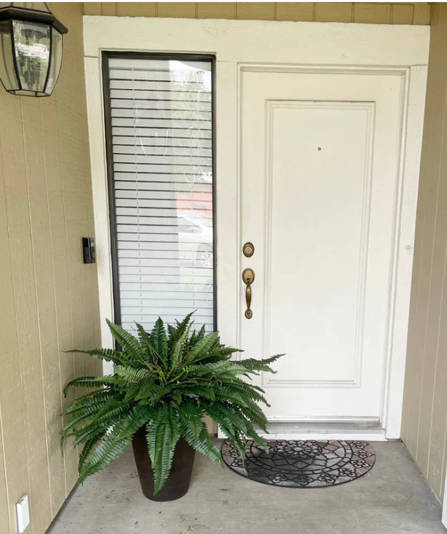 Forever Fern - Bring nature home without the maintenance. 50% OFF