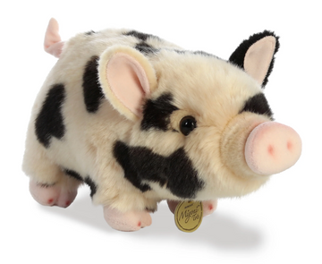 11 PotBellied Piglet Spotted