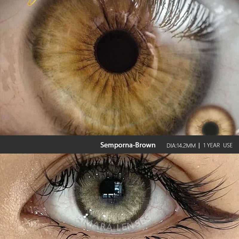 1 Pair Green Contact Lenses for Eyes Beauty Pupils Lenses Eye 14.2mm Yearly Use Fashion Blue Colored Contacts Lenses Green