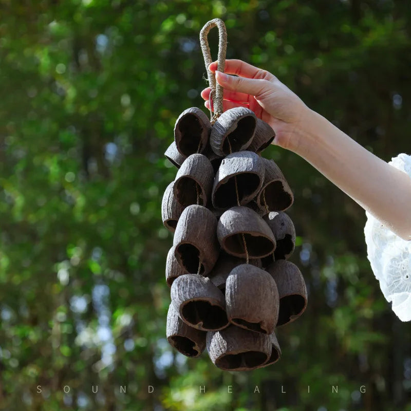 Natural Fruit Shell Hand Bell Sound Healing Instruments For Yoga Meditation Sound Healing Sound Closest to Flowing Water