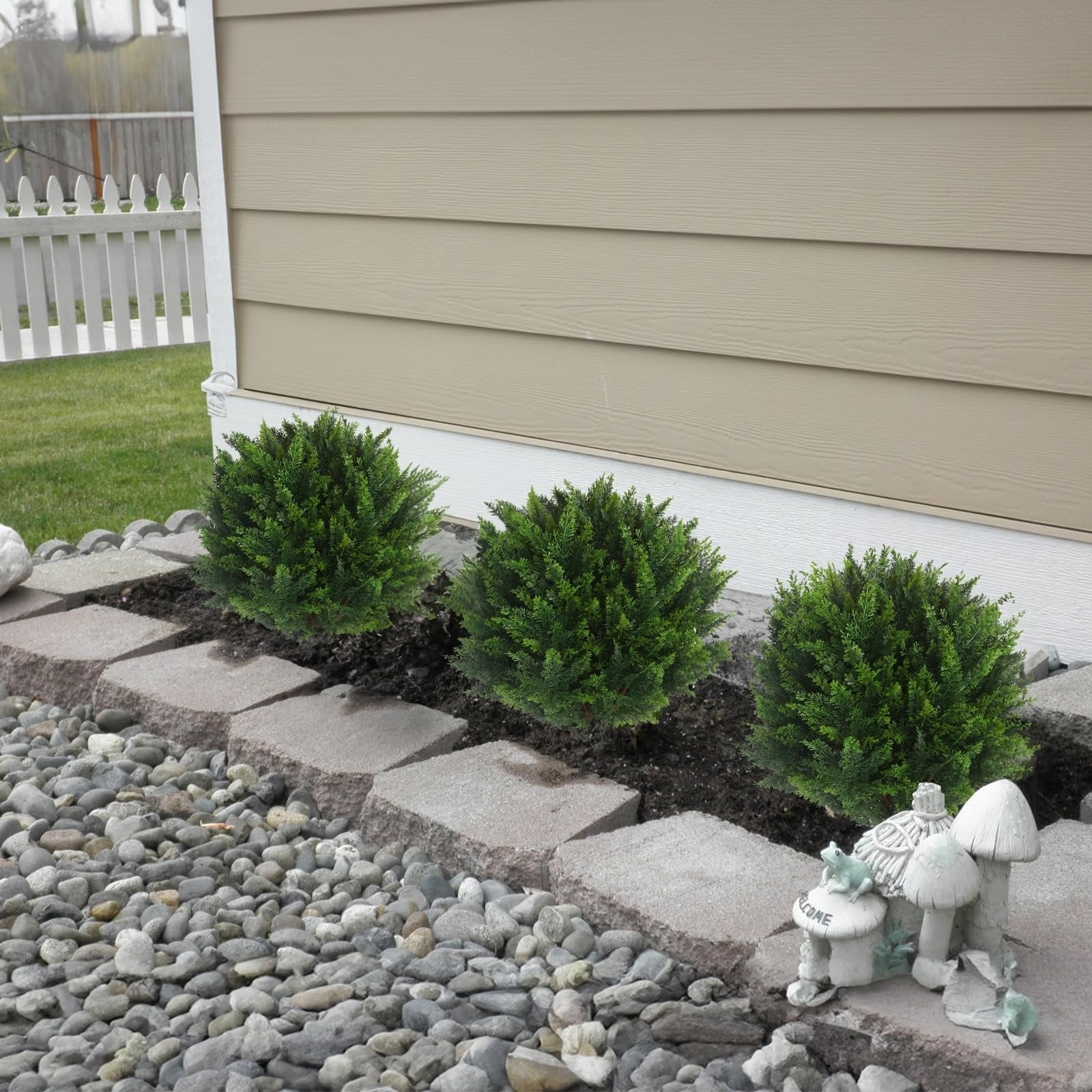EverGreen Cedar Tree - Instant Curb Appeal + 50% OFF