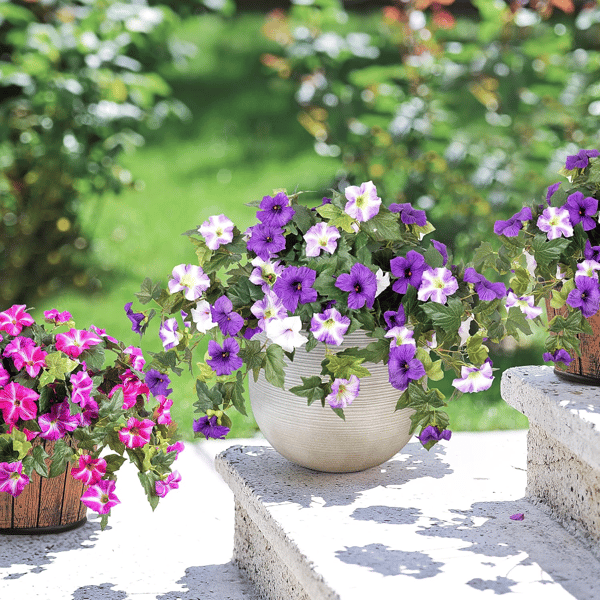 EverBloom Petunias - A Perfect Garden, Effortlessly - 50% OFF