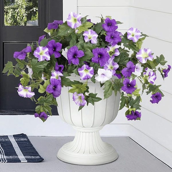 EverBloom Petunias - A Perfect Garden, Effortlessly - 50% OFF