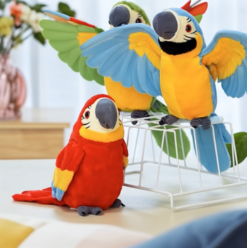 Picotoy  EchoBuddy - Instant Joy & Companionship + 50% OFF