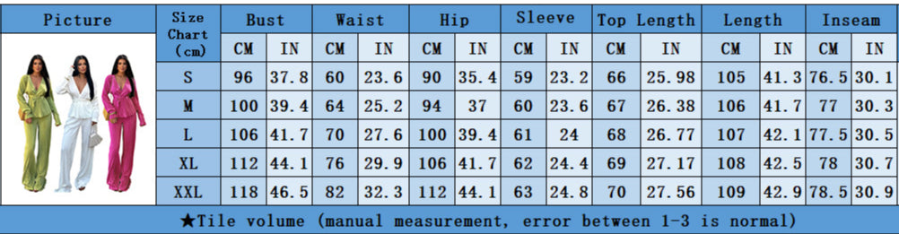 Casual V Neck Long Sleeves Tops and Pants Two Pieces Suits