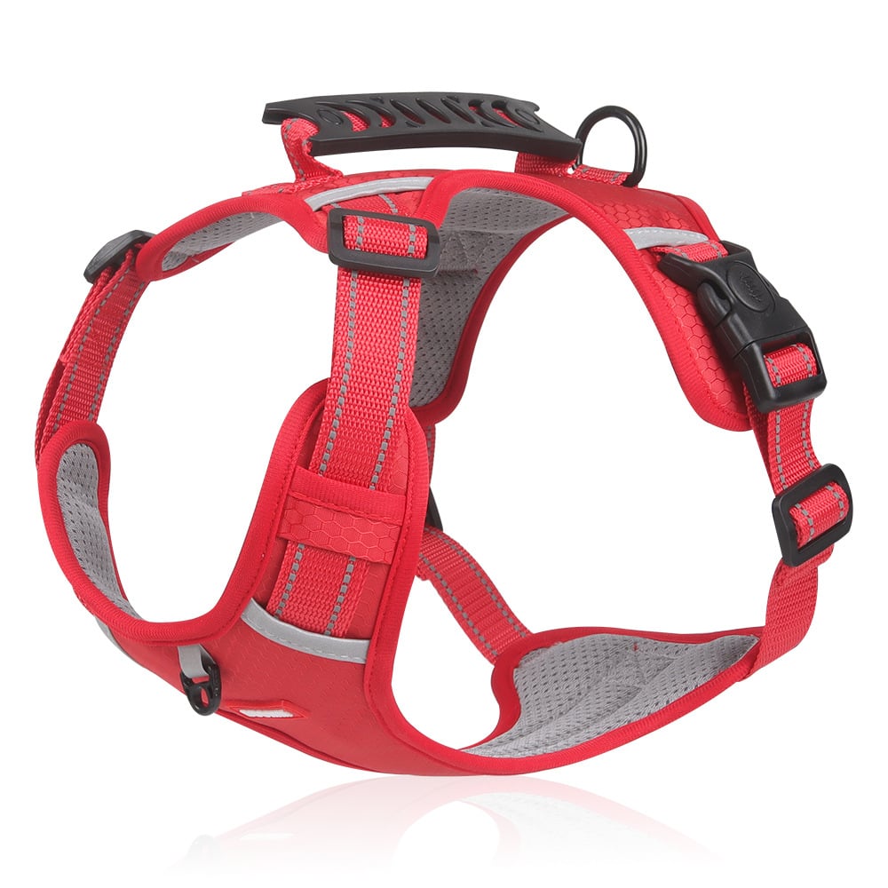 The GentleStride Dog Harness -  Less Pulling, Ultimate Comfort, and Safety + 50% OFF
