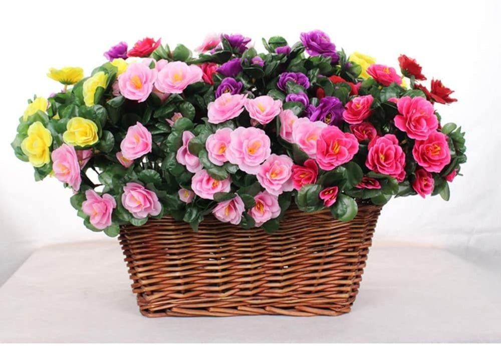 EverBloom Azaleas - A Perfect Garden, Zero Work + 1+1 FREE