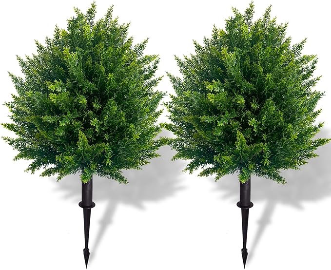 EverGreen Cedar Tree - Instant Curb Appeal + 50% OFF