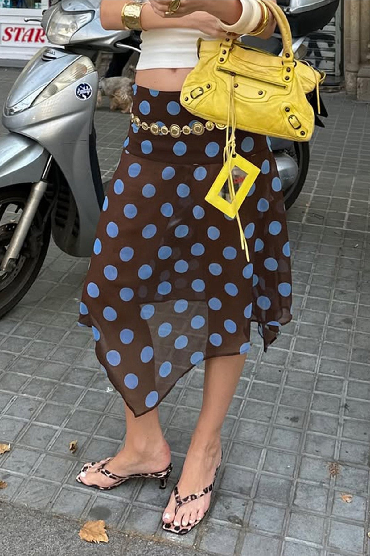 Sheer Polka Dot Ruffled Mesh Skirt