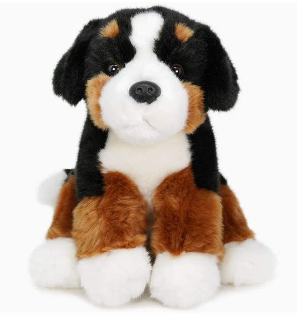 Bastien the Bernese Mountain Dog