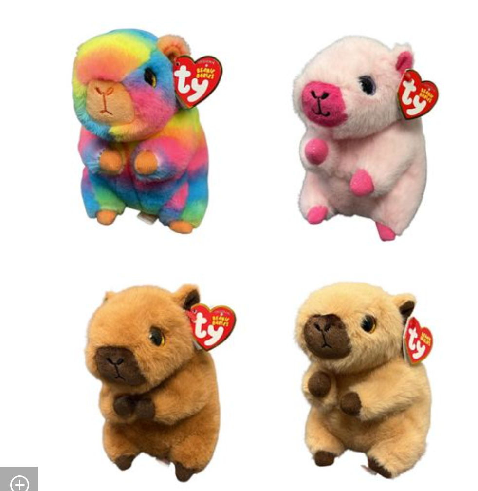 CAPYBARA Assorted