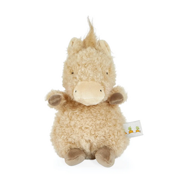 Wee Pony Boy the Horse